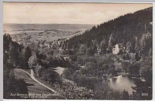 (56907) Foto AK Bad Reinerz, Duszniki-Zdroj, Blick vom Denglerteich, 1942