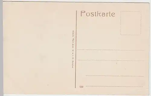 (56745) AK Biebrich am Rhein, Schloss, Parkseite, vor 1945