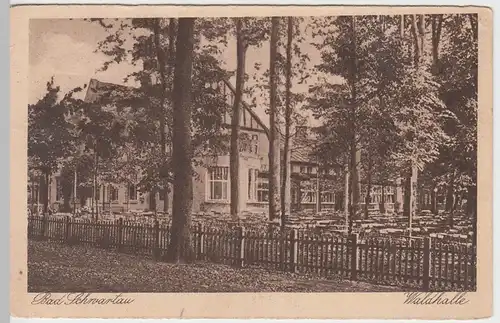 (56652) AK Bad Schwartau, Waldhalle, um 1925