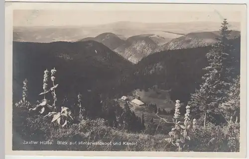 (56456) Foto AK Zastler Hütte i. Schwarzw., Blick a. Hinterwaldkopf u. Kandel