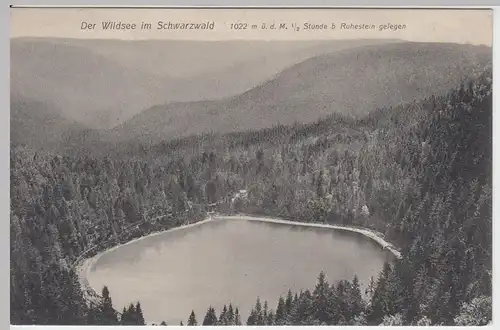 (56428) AK Wildsee im Schwarzwald, vor 1945