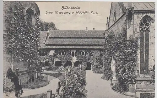 (56368) AK Hildesheim, Doppelter Kreuzgang u. 1000-jähr. Rose, vor 1945
