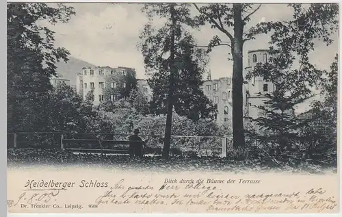 (56343) AK Heidelberg, Schloss, Blick v.d. Terrasse, 1905