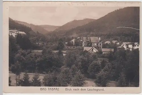 (56295) Foto AK Bad Tabarz, Blick nach dem Lauchagrund, vor 1945