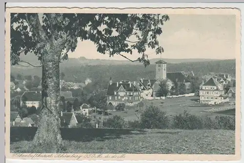 (56244) AK Schömberg (Landkreis Calw), Gesamtansicht, 1931