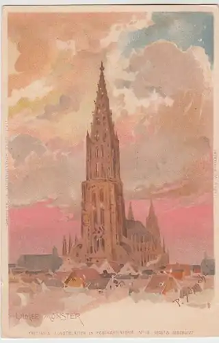 (56169) Künstler AK P. Schmohl: Ulm, Münster, vor 1905