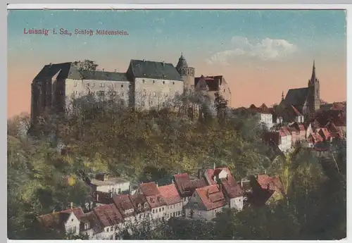 (55916) AK Leisnig, Sachs., Stadtansicht, Schloss Mildenstein, vor 1945