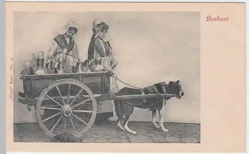 (55477) AK Brabant, Mädchen mit Krügen und Hundegespann, bis um 1905