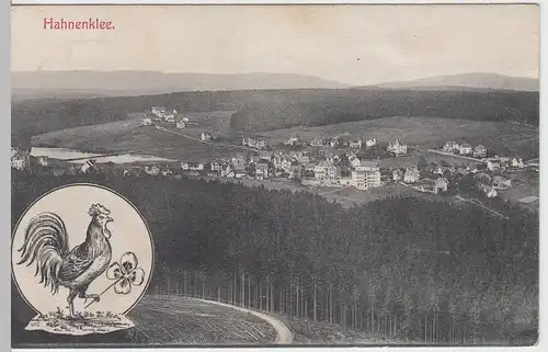 (55458) AK Hahnenklee, Harz, Panorama 1910