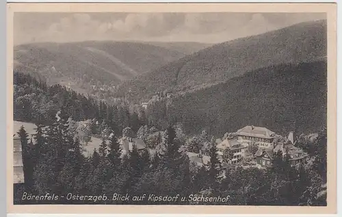 (55438) AK Bärenfels, Erzgeb., Kipsdorf, Sachsenhof