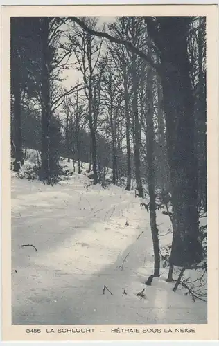 (55383) AK La Schlucht, verschneiter Buchenwald, Hetraie sous la neige 1934