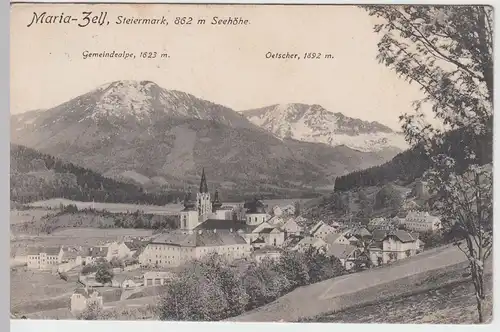 (55139) AK Mariazell, Steiermark, Panorama, Basilika, Ötscher 1910