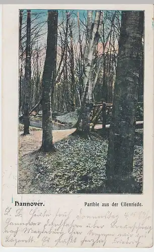 (53861) AK Hannover, Parthie aus der Eilenriede, vor 1905 (gel. Feldpost 1914)