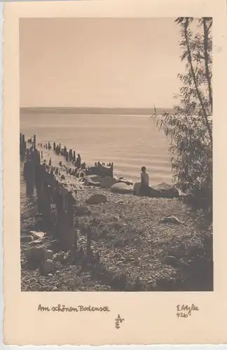 (53806) Foto AK Am schönen Bodensee, Uferpartie, 1935