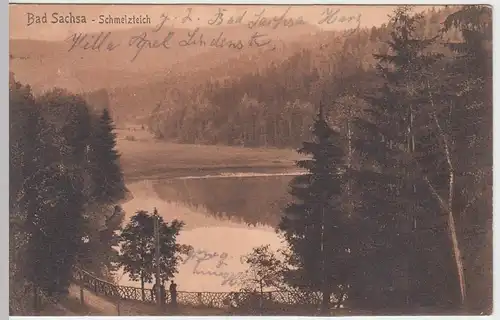 (53150) AK Bad Sachsa, Schmelzteich, 1909