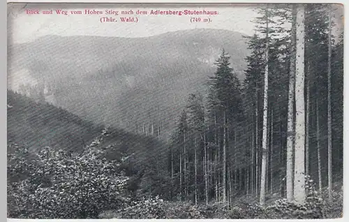 (52788) AK Fernblick vom Hohen Stieg nach Adlersberg-Stutenhaus, v. 1945