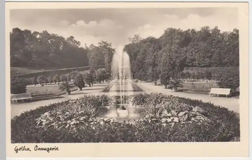 (52619) AK Gotha, Park an der Orangerie, vor 1945