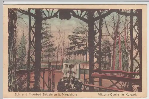 (52500) AK Bad Salzelmen, Kurpark, Viktoriaquelle 1934