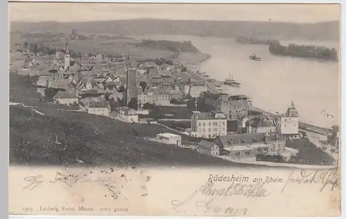 (51891) AK Rüdesheim am Rhein, Totale, 1903