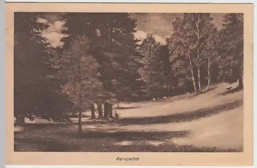 (50247) AK Boppard, Marienberg, Parkpartie, 1924