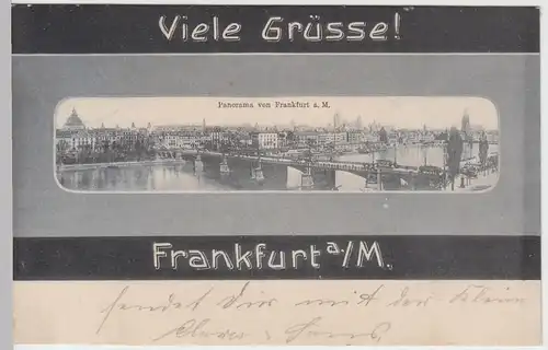 (50175) AK Frankfurt a. M., Panorama, 1908