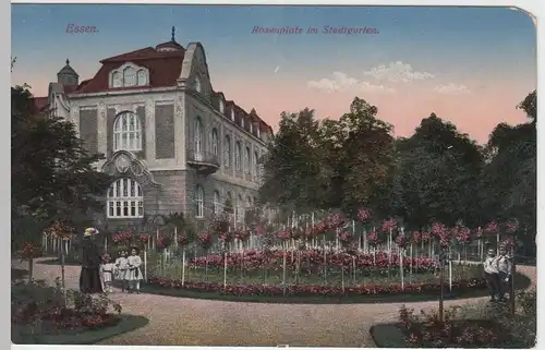 (49817) AK Essen, Rosenplatz im Stadtgarten, vor 1945