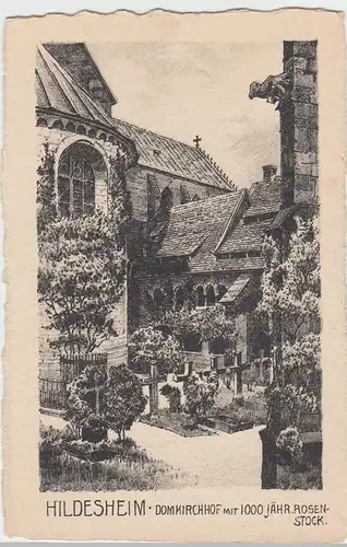 (49801) Künstler AK Hildesheim, Domkirchhof, vor 1945