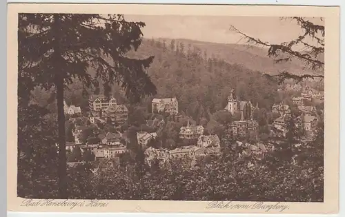 (49797) AK Bad Harzburg, Blick vom Burgberg, vor 1945