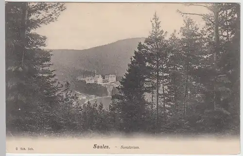 (49726) AK Saales, Sanatorium, 1905