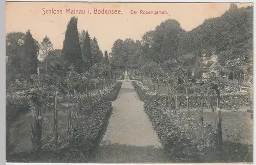 (49657) AK Schloss Mainau im Bodensee, Rosengarten, Feldpost 1915