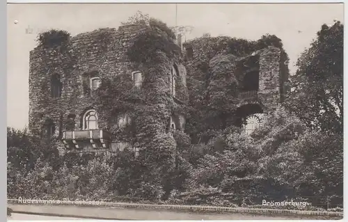 (49645) Foto AK Rüdesheim am Rhein, Schloss Brömserburg, 1928