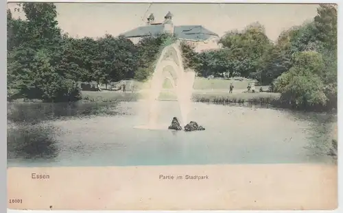 (49633) AK Essen, Partie im Stadtpark, 1911