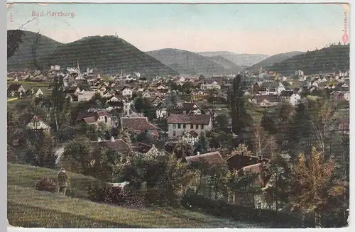 (49631) AK Bad Harzburg, Totale, 1907