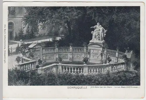 (49610) AK Donaueschingen, Donauquelle, 1906