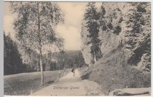 (49609) AK Dietharzer Grund, 1914