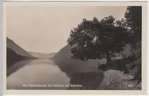 (48552) Foto AK Pertisau, Eben am Achensee, Prälatenbuche