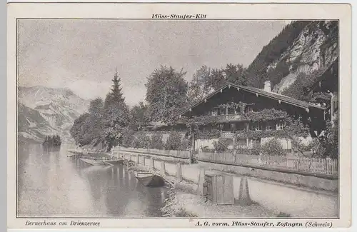 (48513) AK Brienzersee, Bernerhaus, Werbung Plüss-Staufer-Kitt, vor 1945