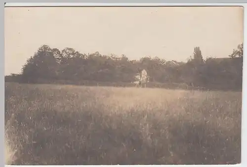 (48226) Foto AK Müllingsen, Soest, Hufkamp?, Haus hinter Bäumen 1917