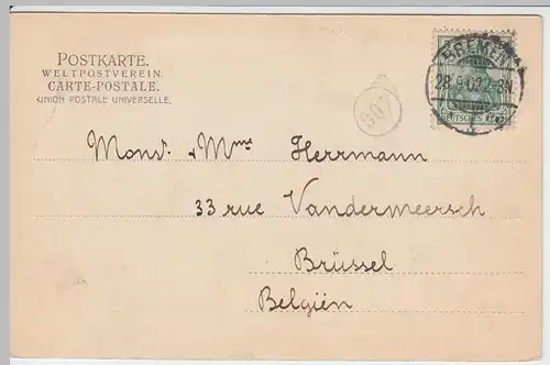 (47831) AK Bremen, Rathaus 1902