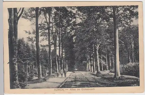 (47470) AK Aurich, Allee im Eickebusch 1915