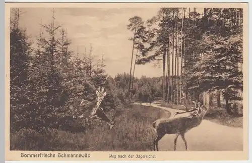 (47410) AK Schmannewitz, Weg nach der Jägereiche 1935