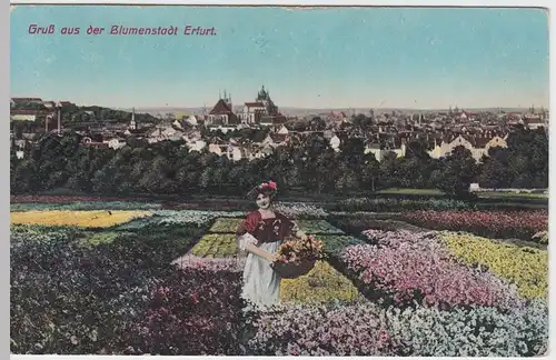 (47260) AK Erfurt, Blumenfeld, Stadtpanorama 1919