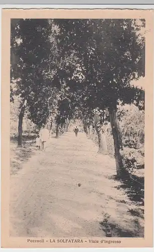 (47119) AK Pozzuoli, Solfatare, Viale d' ingresso, Allee, vor 1945
