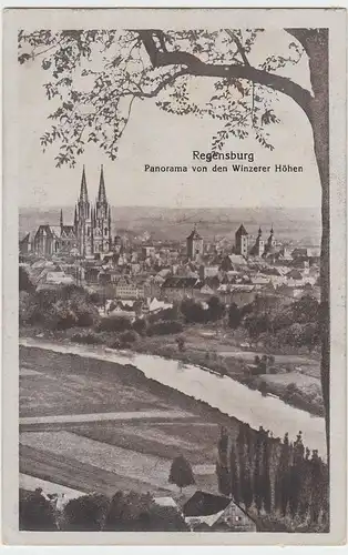 (46870) AK Regensburg, Panorama v.d. Winzerer Höhen, vor 1945