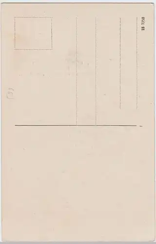 (46870) AK Regensburg, Panorama v.d. Winzerer Höhen, vor 1945