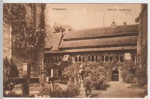 (46610) AK Hildesheim, 1000-jähr. Rosenstock, vor 1945