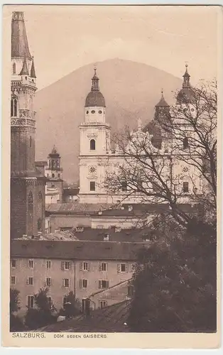(46502) AK Salzburg, Dom gegen Gaisberg, vor 1945