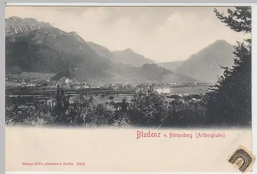 (46453) AK Bludenz, Panoramam vom Bürsenberg, vor 1905