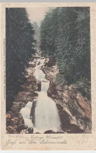 (46416) AK Triberger Wasserfall, Gruß a.d. Schwarzwald, 1900