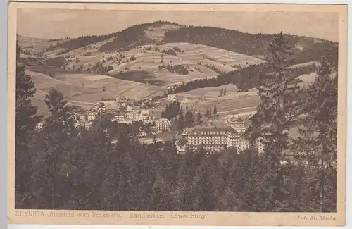 (46111) AK Krynica, Bl. v. Parkberg, m. Sanatorium "Löwenburg", 1941